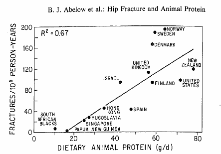 Animal protein and bone fractures